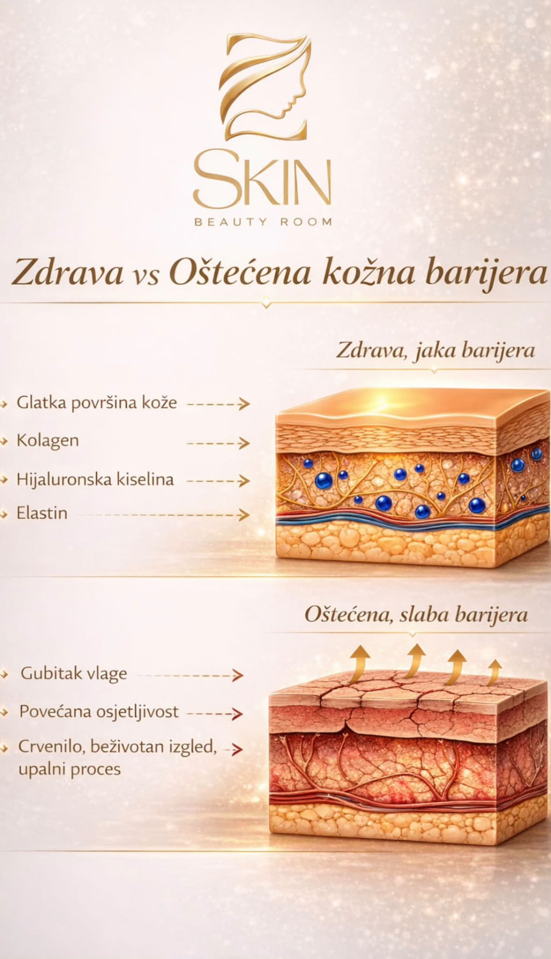 Zdrava vs oštećena kožna barijera — Z Skin Beauty Room
